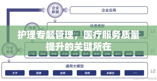 护理专题管理，医疗服务质量提升的关键所在