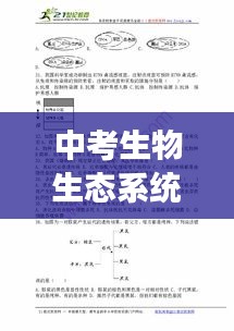 中考生物生态系统深度解析，专题解读与知识要点梳理