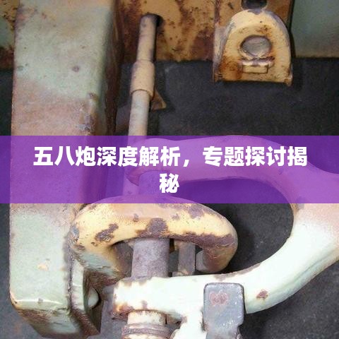 五八炮深度解析，专题探讨揭秘