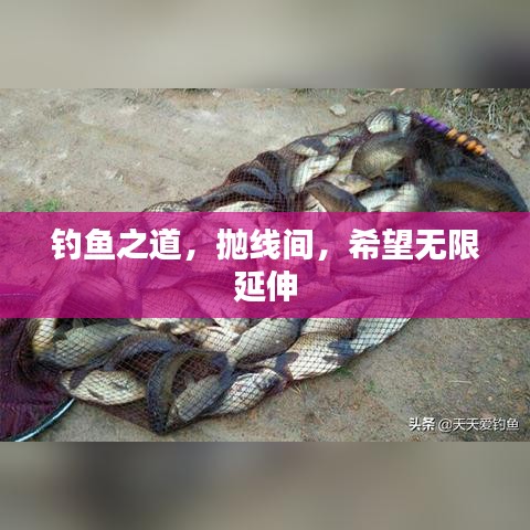 指手画脚 第2页