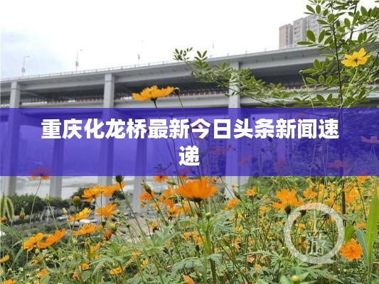 三人成虎 第2页