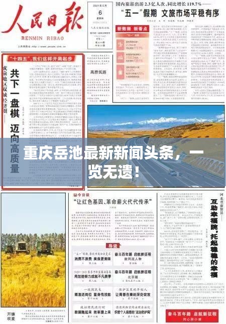 重庆岳池最新新闻头条，一览无遗！