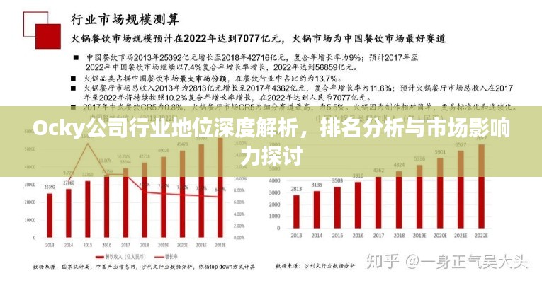 Ocky公司行业地位深度解析，排名分析与市场影响力探讨