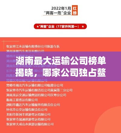 湖南最大运输公司榜单揭晓，哪家公司独占鳌头？