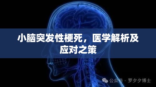 小脑突发性梗死，医学解析及应对之策