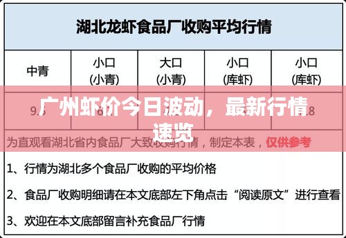 广州虾价今日波动，最新行情速览