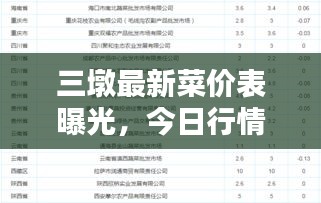 三墩最新菜价表曝光，今日行情，不容错过！