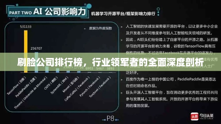刷脸公司排行榜，行业领军者的全面深度剖析