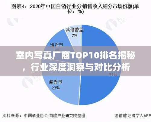 室内写真厂商TOP10排名揭秘，行业深度洞察与对比分析