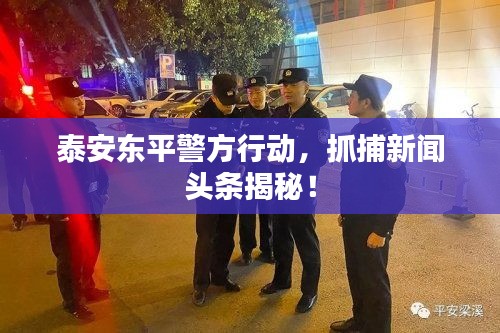 泰安东平警方行动，抓捕新闻头条揭秘！
