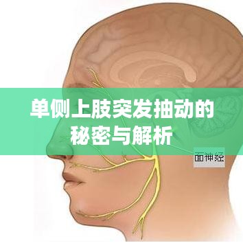 心慌意乱