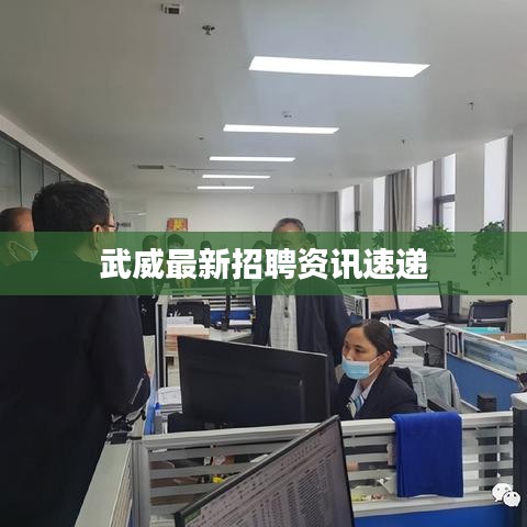 武威最新招聘资讯速递