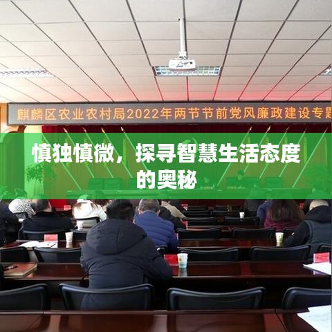 慎独慎微，探寻智慧生活态度的奥秘