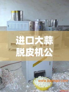 进口大蒜脱皮机公司排行榜揭晓，权威排名一网打尽！