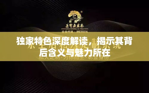 独家特色深度解读，揭示其背后含义与魅力所在