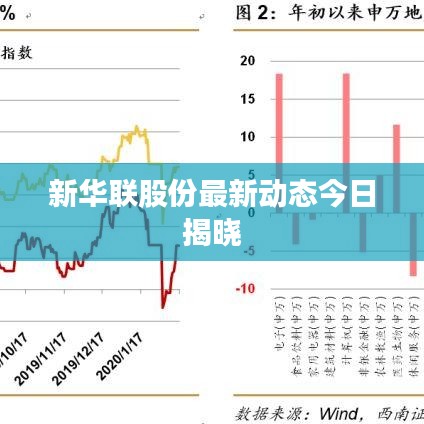 新华联股份最新动态今日揭晓