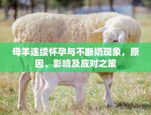 艰苦卓绝