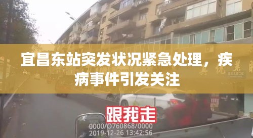 越鸟南栖