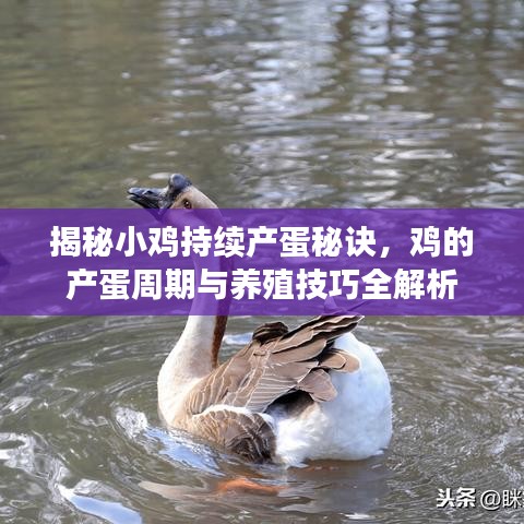 喜笑颜开