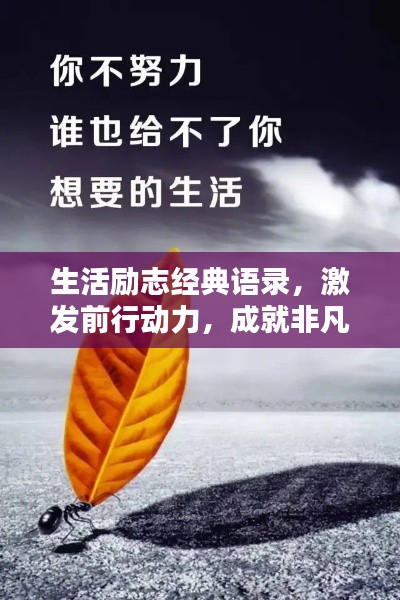 不拘小节