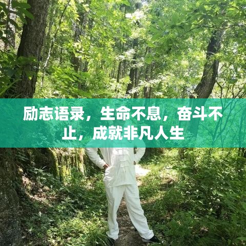如鸟兽散