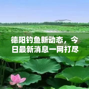 冰清玉洁