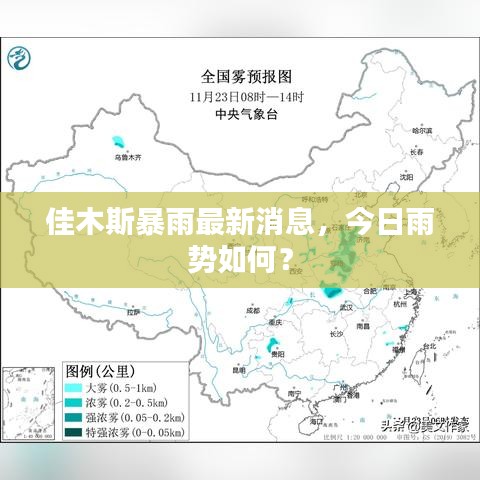 熊经鸟申
