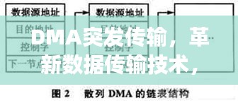 靡颜腻理