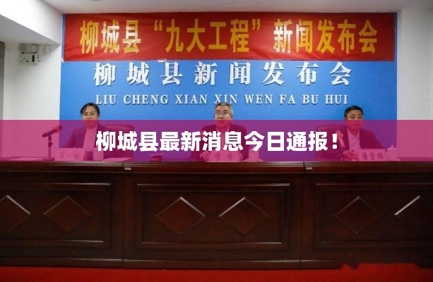 犯而不校