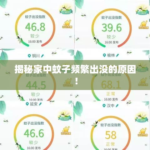 揭秘家中蚊子频繁出没的原因！