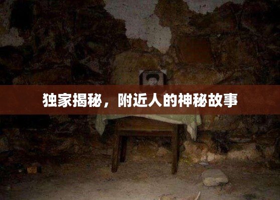 鸟声兽心