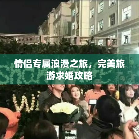 悬驼就石