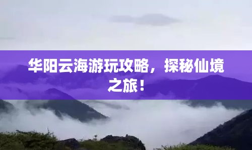 2025年4月 第62页