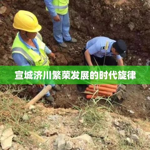 云龙井蛙