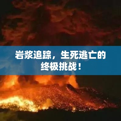 目不转睛