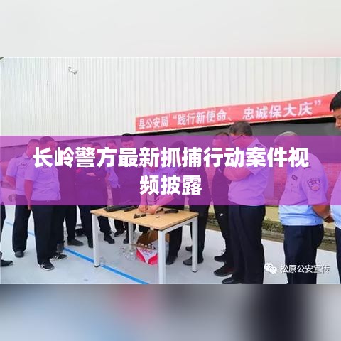 虫书鸟篆