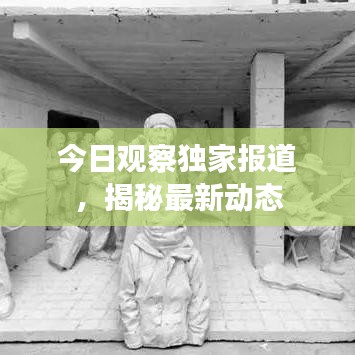 今日观察独家报道，揭秘最新动态