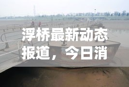 浮桥最新动态报道，今日消息更新速递