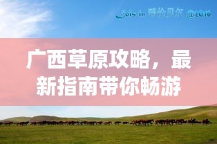 广西草原攻略，最新指南带你畅游草原美景！