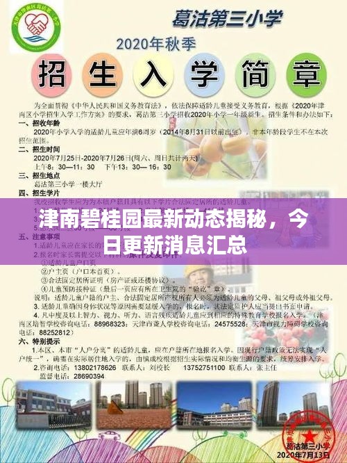 津南碧桂园最新动态揭秘，今日更新消息汇总