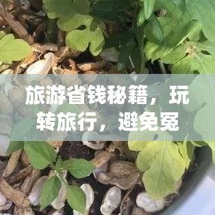 旅游省钱秘籍，玩转旅行，避免冤枉钱支出攻略！