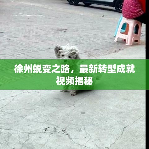 徐州蜕变之路，最新转型成就视频揭秘