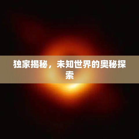 独家揭秘，未知世界的奥秘探索