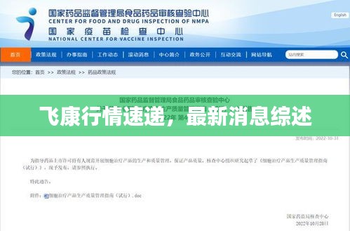 飞康行情速递，最新消息综述