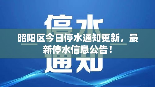 花香鸟语