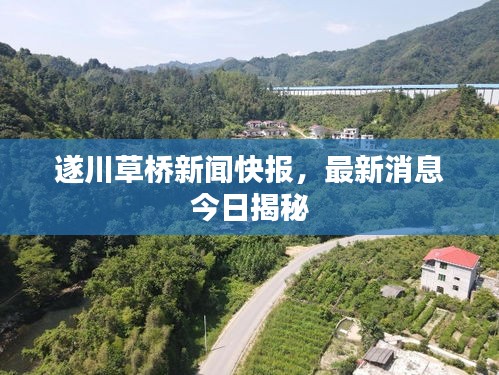 遂川草桥新闻快报，最新消息今日揭秘