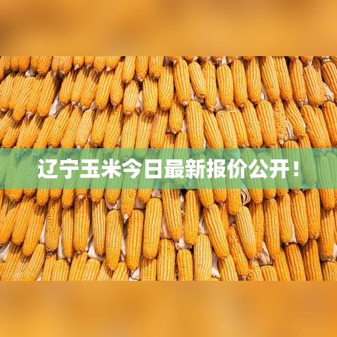 2025年6月12日